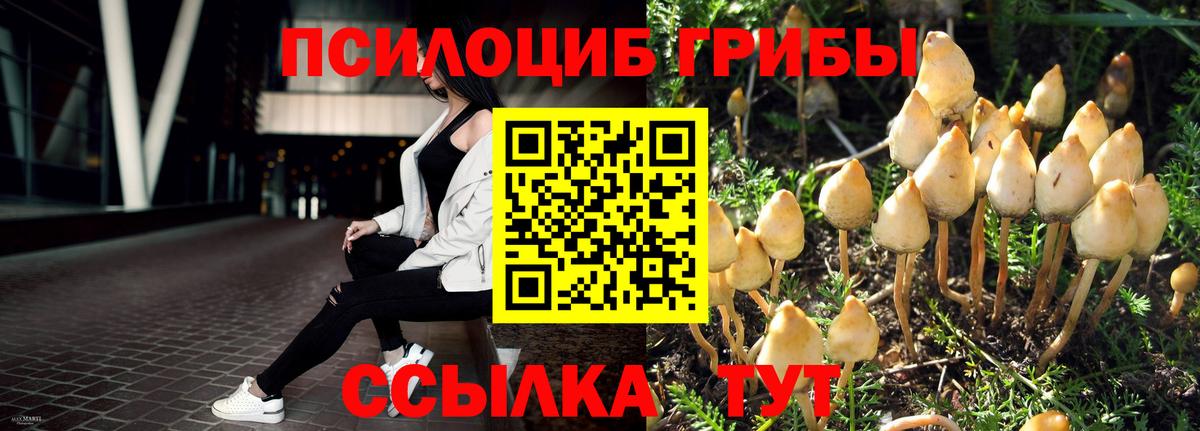Псилоцибиновые грибы мухоморы Рубцовск