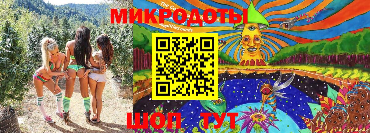 Рубцовск  Галлюциногенные грибы Psilocybe  где купить наркоту  Вход с VPN 